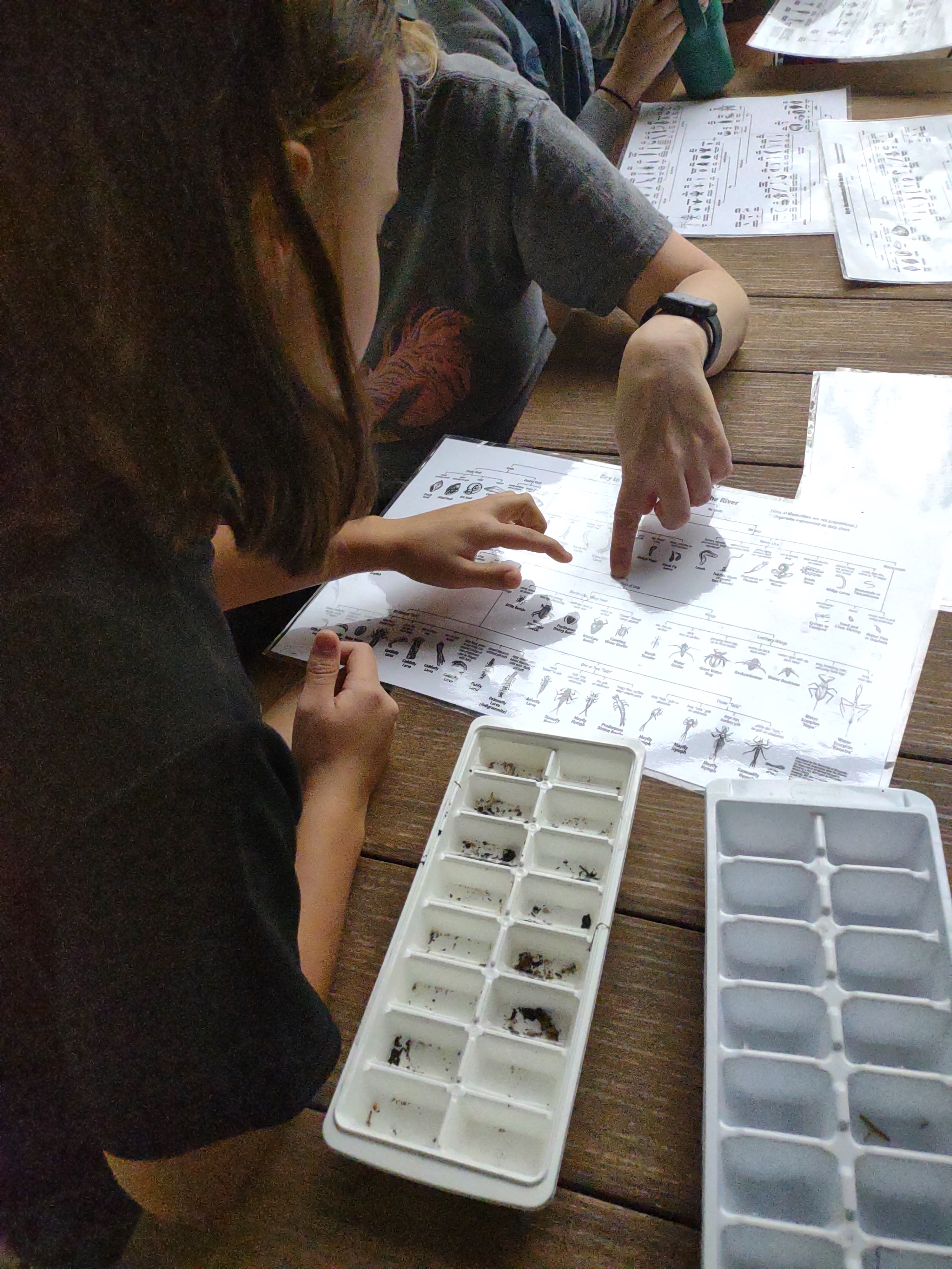 2 middle school students working together to analyze collected soil samples