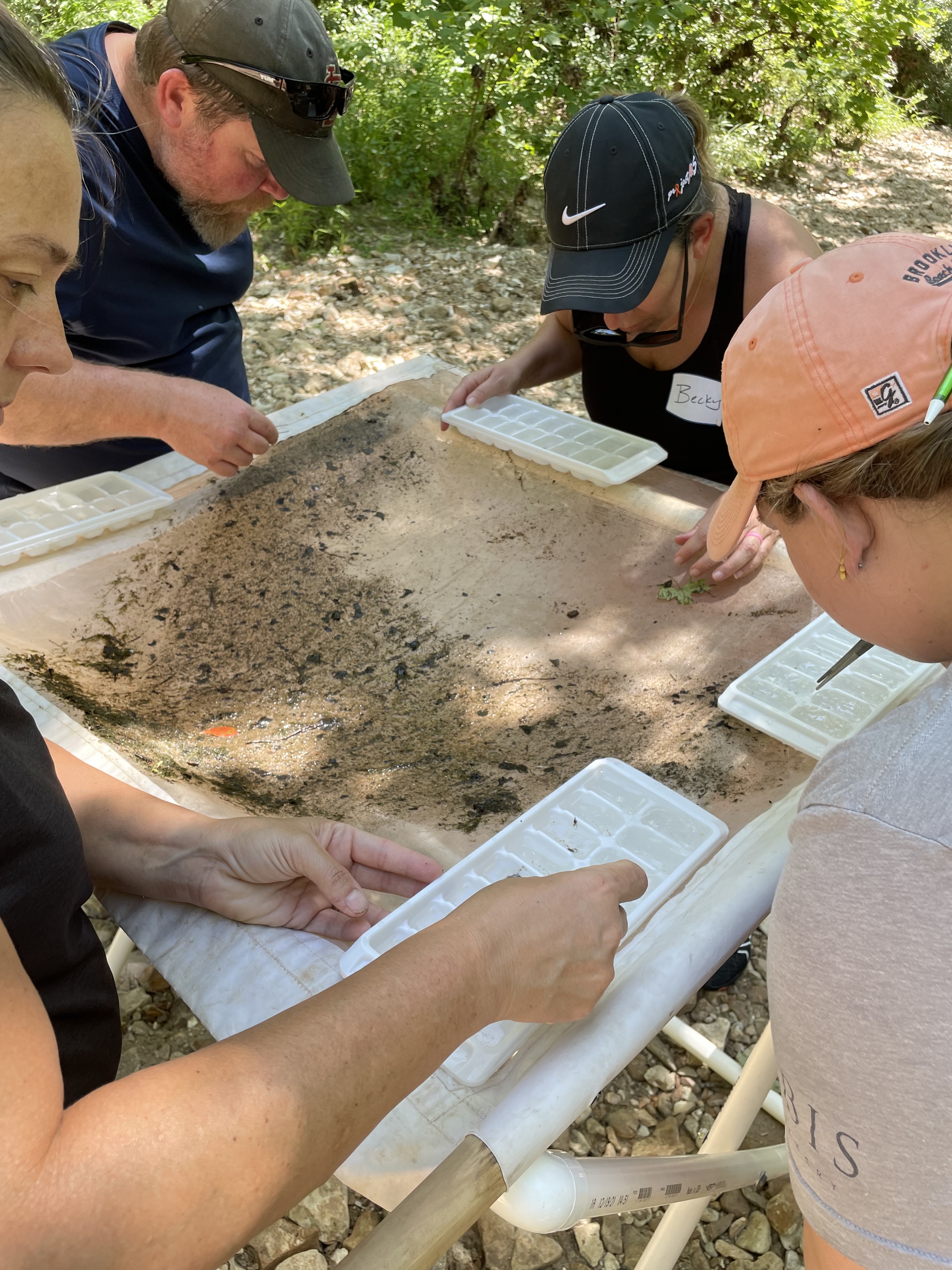 4 teachers looking at sand